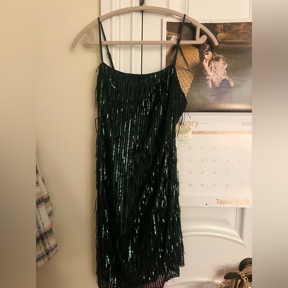 Altar'd State green sequin fringe mini dress 💚